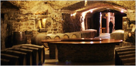 Bodega de ...